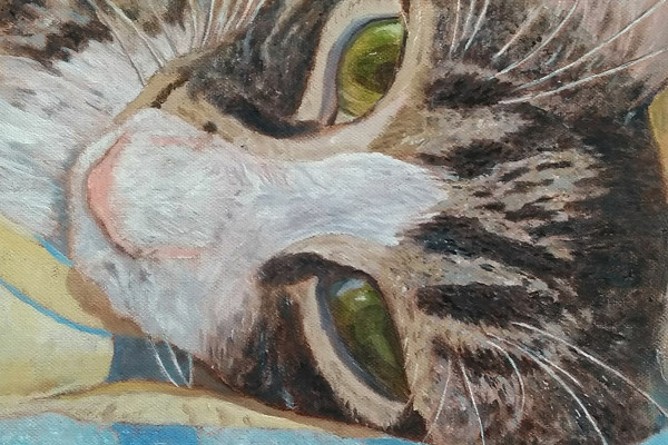 Pets